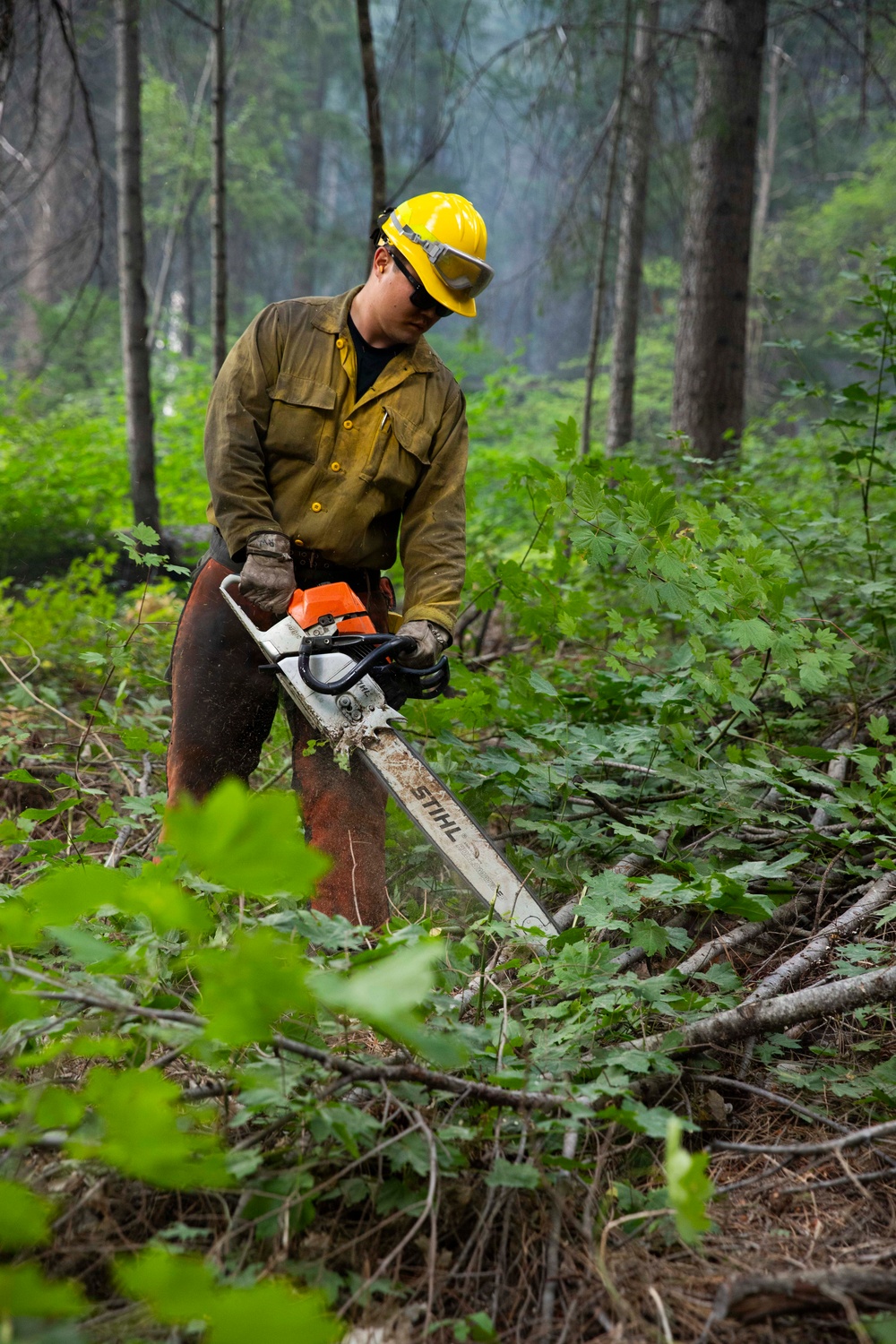 A worker in personal protective equipment operates a STIHL chainsaw in a dense forest setting. The individual is cutting through brush and small branches on the forest floor, likely performing forestry management, trail clearing, or wildfire fuel reduction work. The background shows a smoky or misty forest atmosphere suggesting possible fire suppression or post-fire recovery operations.