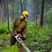 A worker in personal protective equipment operates a STIHL chainsaw in a dense forest setting. The individual is cutting through brush and small branches on the forest floor, likely performing forestry management, trail clearing, or wildfire fuel reduction work. The background shows a smoky or misty forest atmosphere suggesting possible fire suppression or post-fire recovery operations.