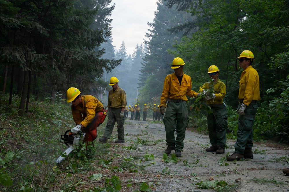 A crew of wildland firefighters in standard yellow Nomex fire-resistant shirts and green pants work along a forest road, likely creating or clearing a fuel break or fire line. One worker in the foreground operates a chainsaw while others handle cut brush and vegetation. A long line of additional crew members is visible in the background, suggesting a large hand crew operation in a smoky forest environment.