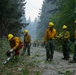 A crew of wildland firefighters in standard yellow Nomex fire-resistant shirts and green pants work along a forest road, likely creating or clearing a fuel break or fire line. One worker in the foreground operates a chainsaw while others handle cut brush and vegetation. A long line of additional crew members is visible in the background, suggesting a large hand crew operation in a smoky forest environment.