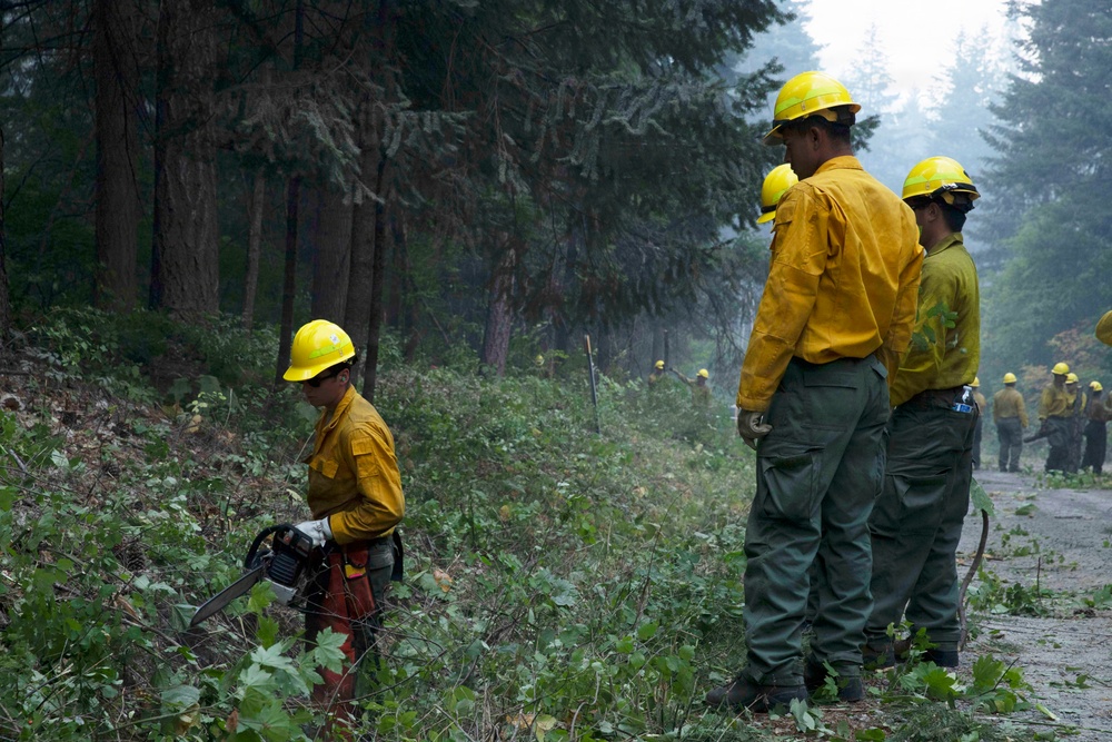 A crew of wildland firefighters wearing yellow Nomex shirts and hard hats are working along a forest road, likely creating a firebreak or clearing vegetation. One worker in the foreground is operating a chainsaw to cut brush, while others stand observing or awaiting their turn. Smoke or haze is visible in the background, suggesting an active fire situation nearby.