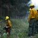 A crew of wildland firefighters wearing yellow Nomex shirts and hard hats are working along a forest road, likely creating a firebreak or clearing vegetation. One worker in the foreground is operating a chainsaw to cut brush, while others stand observing or awaiting their turn. Smoke or haze is visible in the background, suggesting an active fire situation nearby.