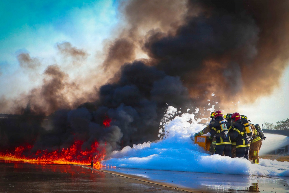 Ice and Fire