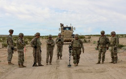 388th Engineer Company Conducts UXO Clearance at Fort Irwin