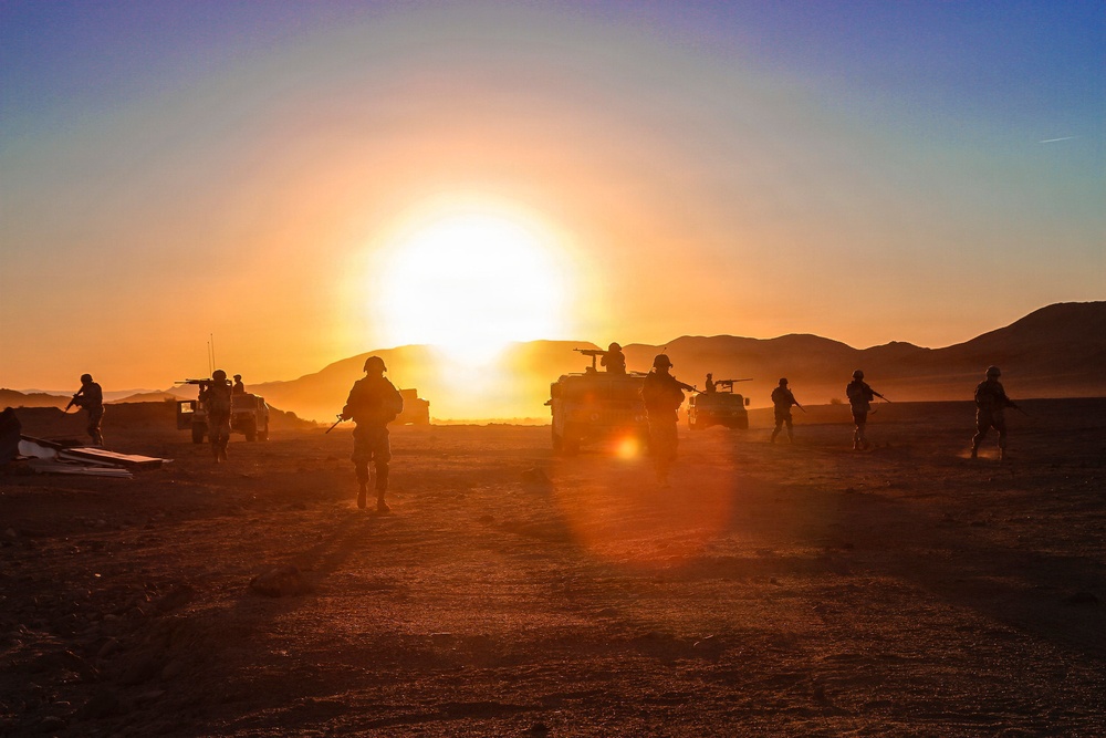 Sunlit Patrol