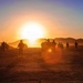 Sunlit Patrol