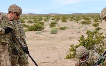 388th Engineer Company Conducts UXO Clearance at Fort Irwin