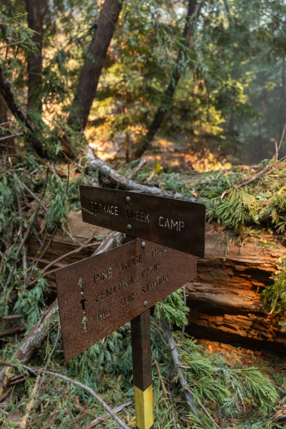 A trail junction sign in a forested area identifies 'Terrace Creek Camp' and directional arrows pointing toward 'Pine Ridge Trail,' 'Ventana Camp,' and 'Big Sur Station.' The background shows significant trail obstruction from fallen trees and downed branches, suggesting recent storm or wind damage. The setting appears to be in the Los Padres National Forest near Big Sur, California.