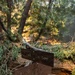 A trail junction sign in a forested area identifies 'Terrace Creek Camp' and directional arrows pointing toward 'Pine Ridge Trail,' 'Ventana Camp,' and 'Big Sur Station.' The background shows significant trail obstruction from fallen trees and downed branches, suggesting recent storm or wind damage. The setting appears to be in the Los Padres National Forest near Big Sur, California.