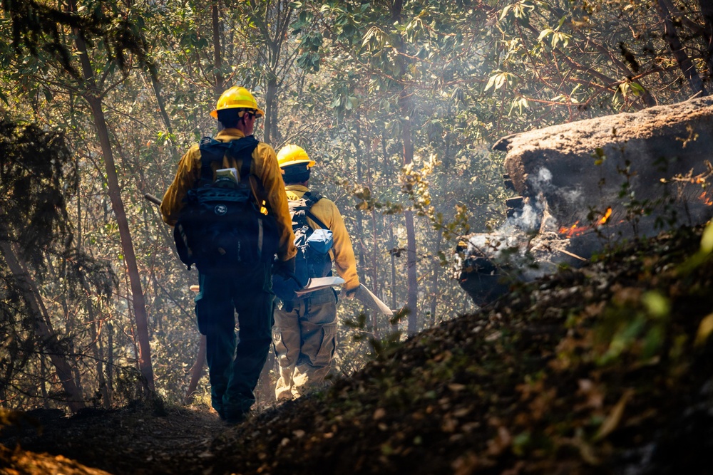 Two wildland firefighters in full protective gear are moving through a smoky forested area toward an active fire. They are wearing standard wildland firefighting equipment including yellow hard hats, fire-resistant Nomex jackets, and backpacks. Flames and smoldering debris are visible to the right side of the frame.
