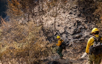 Timber Fire