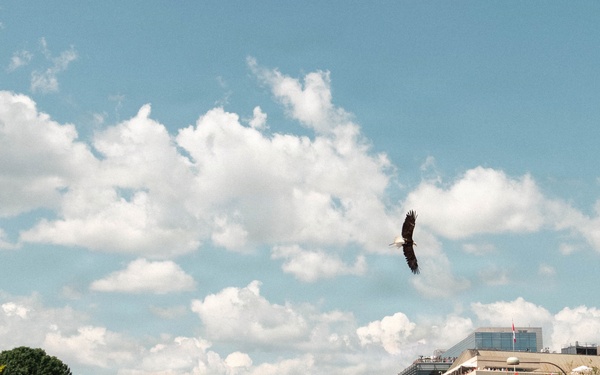 Eagle Flies Over the Track at Freedom 250 Grand Prix