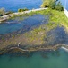 USACE, Buffalo District to host ribbon cutting ceremony for Unity Island Wetland restoration completion