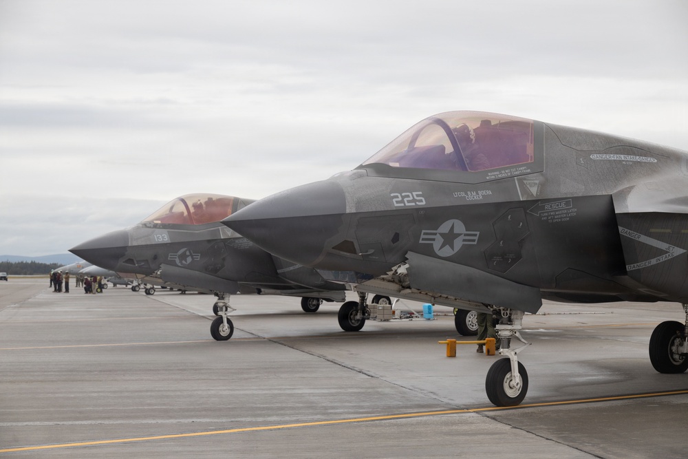 Multiple F-35 stealth fighter jets are lined up on a military airfield tarmac. The aircraft display U.S. military markings including the star-and-bar insignia, with visible tail numbers 225 and 133. Personnel can be seen in the background near the aircraft line.