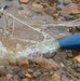 Champion Brigade water purification field training