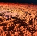 A newly hatched sea turtle hatchling is crawling across a sandy beach, illuminated by a warm red/orange light source. The tiny turtle appears to be making its way toward the water, which is faintly visible as a dark area in the upper portion of the image. The red lighting is consistent with conservation monitoring practices used to observe hatchlings without disorienting them.