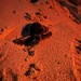 A small sea turtle hatchling is crawling across a sandy beach at night, illuminated by red-tinted lighting commonly used during turtle monitoring to avoid disorienting the animals. The hatchling's tracks are visible in the sand behind it, indicating recent movement. This appears to be a conservation-monitored nesting beach event.
