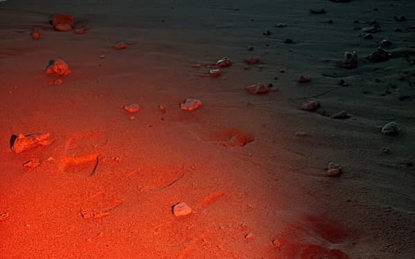 A baby sea turtle hatchling is crawling across a sandy beach, illuminated by a red light source. The red lighting is consistent with conservation protocols used during turtle monitoring, as white light can disorient hatchlings. Human footprints are visible in the sand nearby, suggesting the presence of observers or researchers.
