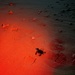 A baby sea turtle hatchling is crawling across a sandy beach, illuminated by a red light source. The red lighting is consistent with conservation protocols used during turtle monitoring, as white light can disorient hatchlings. Human footprints are visible in the sand nearby, suggesting the presence of observers or researchers.