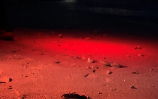 A nighttime beach scene illuminated by red light showing sea turtle hatchlings making their way across the sand. At least two small hatchlings are visible crawling toward the water, leaving tracks in the sand behind them. Red lighting is used deliberately to observe the turtles without disorienting them, a common conservation practice.