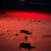 A nighttime beach scene illuminated by red light showing sea turtle hatchlings making their way across the sand. At least two small hatchlings are visible crawling toward the water, leaving tracks in the sand behind them. Red lighting is used deliberately to observe the turtles without disorienting them, a common conservation practice.