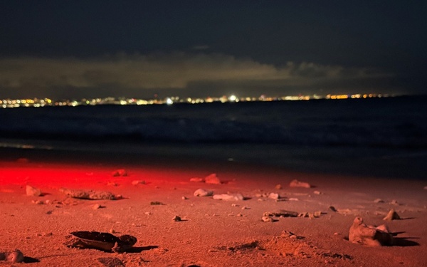 A nighttime beach scene illuminated by red light showing what appear to be sea turtle hatchlings making their way across the sand toward the ocean. The image was likely captured during a conservation monitoring event, as red lights are commonly used to observe sea turtles without disrupting their natural behavior. A distant city skyline with lights is visible across the water in the background.