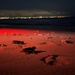 A nighttime beach scene illuminated by red light showing what appear to be sea turtle hatchlings making their way across the sand toward the ocean. The image was likely captured during a conservation monitoring event, as red lights are commonly used to observe sea turtles without disrupting their natural behavior. A distant city skyline with lights is visible across the water in the background.