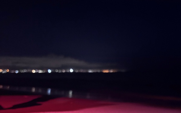 A sea turtle hatchling crawls across a sandy beach at night, illuminated by red/pink artificial lighting. The small hatchling is oriented toward the water, with a distant city skyline visible across the water in the background. Red lighting is commonly used during turtle monitoring to minimize disorientation of hatchlings.