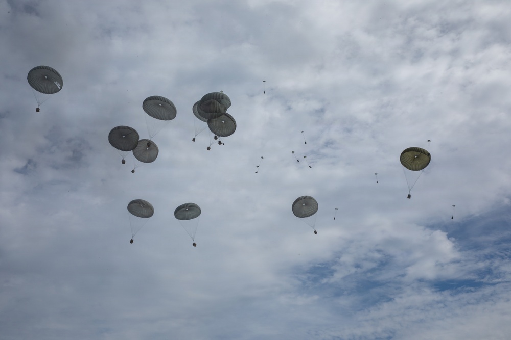 The image shows a large-scale military airdrop operation with numerous parachutes deployed across an overcast sky. Multiple cargo parachutes in olive/gray coloring are visible at various altitudes, with suspended loads beneath each canopy. In the background, additional parachutes and what appear to be recently deployed chutes are visible at higher altitude.