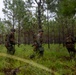 8th Engineer Support Battalion Breaching Drills