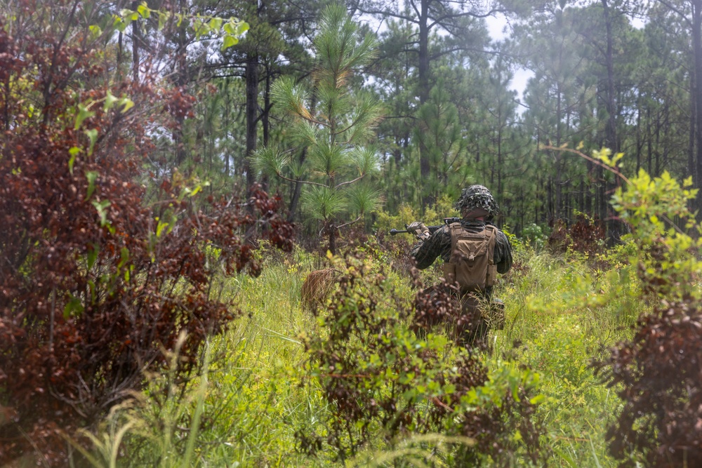 8th Engineer Support Battalion Breaching Drills