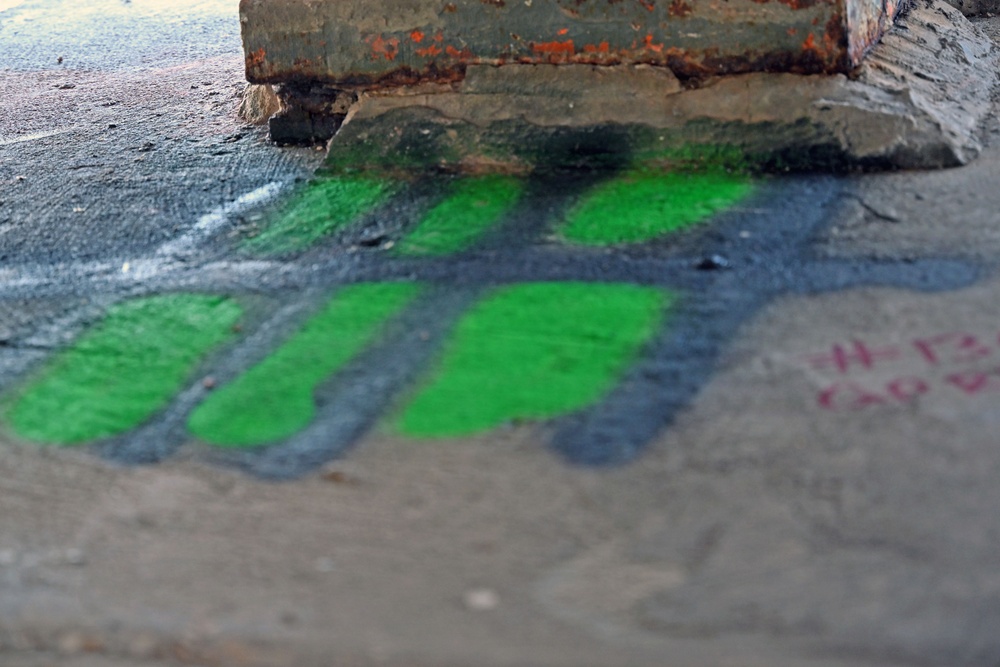 The image shows a close-up of a concrete surface, likely under a bridge or overpass, featuring graffiti spray-painted in bright green and dark grey/black. The graffiti appears to depict a stylized design with curved, leaf-like or flame-like green shapes outlined in dark paint. Additional smaller pink/red text markings are visible in the lower right corner.
