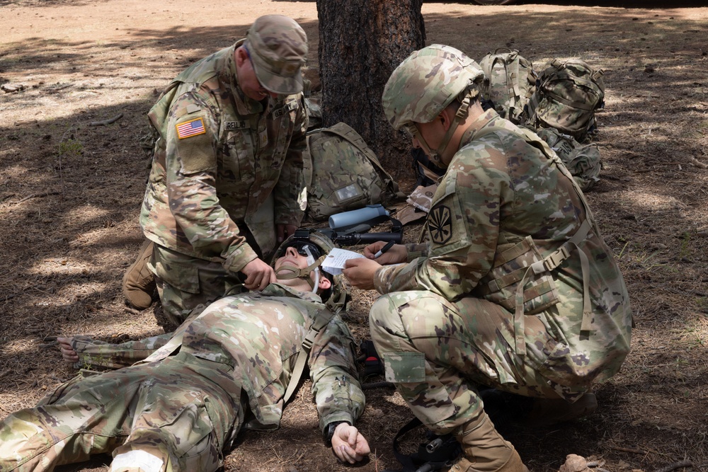 Arizona Guard Medics, Aviators validate readiness through austere Flagstaff training