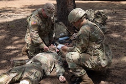 Arizona Guard Medics, Aviators validate readiness through austere Flagstaff training