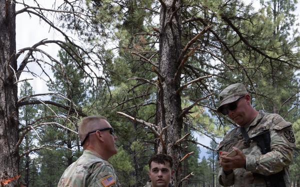 Arizona Guard Medics, Aviators validate readiness through austere Flagstaff training