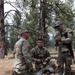 Arizona Guard Medics, Aviators validate readiness through austere Flagstaff training