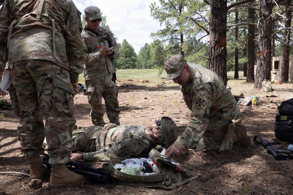 Arizona Guard Medics, Aviators validate readiness through austere Flagstaff training