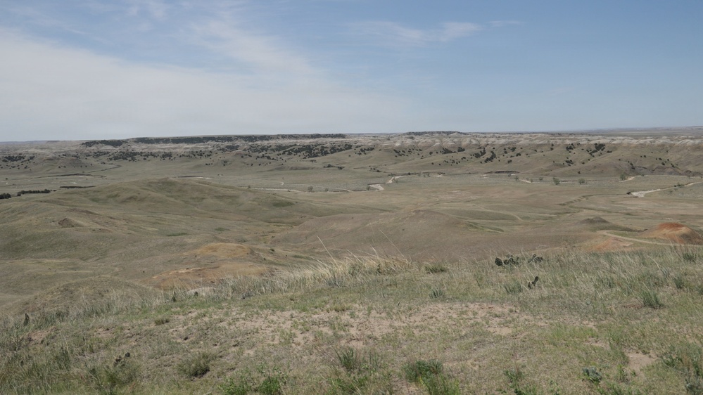 A wide-angle view of an arid to semi-arid grassland landscape featuring rolling hills and eroded badlands terrain. The foreground shows sparse short-grass prairie with visible bare soil patches and what appears to be cactus vegetation. In the background, flat-topped mesa or butte formations with scattered dark coniferous trees are visible under a partly cloudy sky.