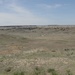 A wide-angle view of an arid to semi-arid grassland landscape featuring rolling hills and eroded badlands terrain. The foreground shows sparse short-grass prairie with visible bare soil patches and what appears to be cactus vegetation. In the background, flat-topped mesa or butte formations with scattered dark coniferous trees are visible under a partly cloudy sky.