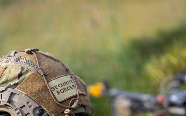 Sage Eagle 26-4