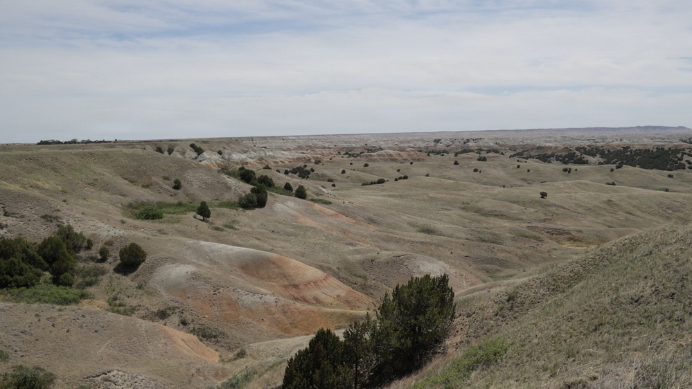 A wide-angle landscape photograph showing an expansive badlands or semi-arid terrain with rolling eroded hills and sparse vegetation. The scene features multi-colored sedimentary formations with muted tones of tan, gray, and reddish-orange visible in the exposed hillsides. Scattered juniper or cedar trees dot the undulating terrain under an overcast sky.