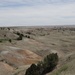 A wide-angle landscape photograph showing an expansive badlands or semi-arid terrain with rolling eroded hills and sparse vegetation. The scene features multi-colored sedimentary formations with muted tones of tan, gray, and reddish-orange visible in the exposed hillsides. Scattered juniper or cedar trees dot the undulating terrain under an overcast sky.