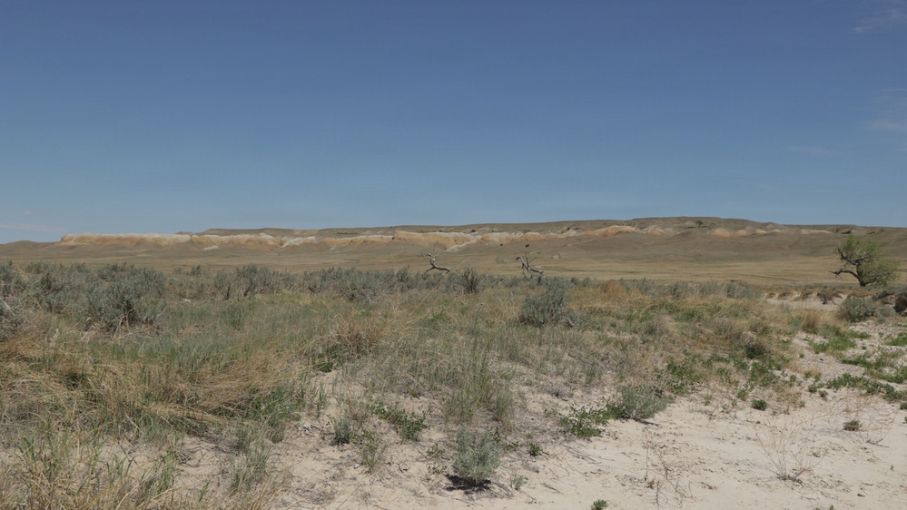An arid, semi-desert landscape featuring sandy foreground terrain with sparse sagebrush and dry grasses. The midground transitions into open grassland plains, while the background reveals eroded badlands-style bluffs or escarpments with light-colored sedimentary layers. The sky is clear and blue with minimal cloud cover, suggesting dry, sunny conditions.