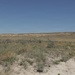 An arid, semi-desert landscape featuring sandy foreground terrain with sparse sagebrush and dry grasses. The midground transitions into open grassland plains, while the background reveals eroded badlands-style bluffs or escarpments with light-colored sedimentary layers. The sky is clear and blue with minimal cloud cover, suggesting dry, sunny conditions.