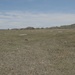 A wide open semi-arid grassland landscape featuring sparse, dry vegetation and eroded badlands-style hills in the background. A traditional farm windmill stands on the left side of the frame, and a dirt two-track road curves along the right side. The scene suggests a rural, undeveloped rangeland environment, likely in the Great Plains region of the United States.