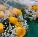 The image shows multiple bouquets of yellow roses accompanied by white baby's breath flowers, wrapped in clear plastic packaging. The bouquets are arranged on what appears to be a teal or turquoise surface, likely a market or retail display. The flowers appear fresh and are presented in a classic florist arrangement style.