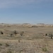 A wide, arid semi-desert landscape featuring sparse dry grassland in the foreground and eroded badlands-style buttes and hills in the background. The terrain is characterized by pale tan and cream-colored sedimentary formations with minimal vegetation. The scene suggests a high plains or badlands environment, possibly in the American Great Plains region.