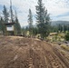 Winnemucca Bridge Project