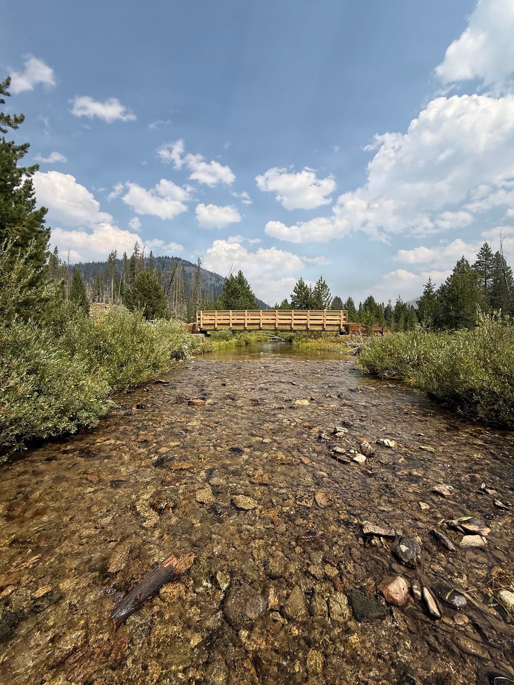 Winnemucca Bridge Project