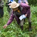 Interagency New York Wetland Rapid Assessment Procedure training